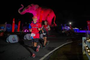 BIB: 
                            <button type="button" onclick="openModal(26551935)" class="btn btn-primary btn-sm float-right btn-popup" data-toggle="modal" data-target=".modal-high-quality">
                        <i class="fas fa-shopping-cart"></i> Add to Cart
                    </button>
                                            <button type="button" onclick="isThisMe(26551935, true)" class="btn btn-success btn-sm float-right btn-popup btn-isme hidden" data-toggle="tooltip" data-placement="bottom" title="นี่คือรูปของคุณใช่ไหม คลิกที่นี่เพื่อเอาเข้าอัลบั้ม">
                        <i class="fas fa-plus"></i> Add to album
                    </button>
                    <button type="button" onclick="isThisMe(26551935, false)" class="btn btn-warning btn-sm float-right btn-popup btn-isnotme hidden">
                        <i class="fas fa-ban"></i> Remove from album
                    </button>